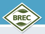 BREC1 BREC1
