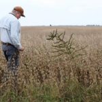 Farmer in Field