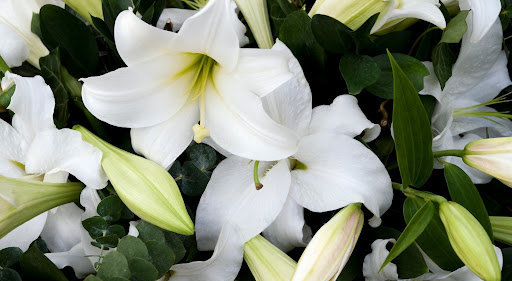 A closeup of white lilies, a symbol of mourning the loss of a loved one.