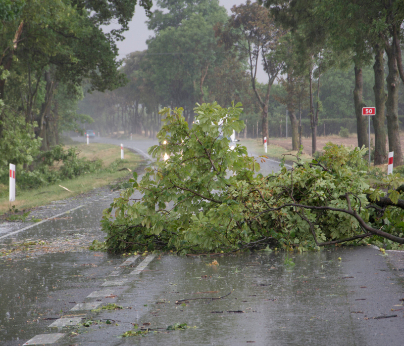 Hurricane Claims Lawyers, 5 Tips to Stay Safe After a Hurricane