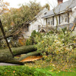Hurricane Damaged Homes by Fallen Trees and Power Lines. Insurance Claim Concepts.