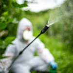What kind of cancer does Roundup cause?