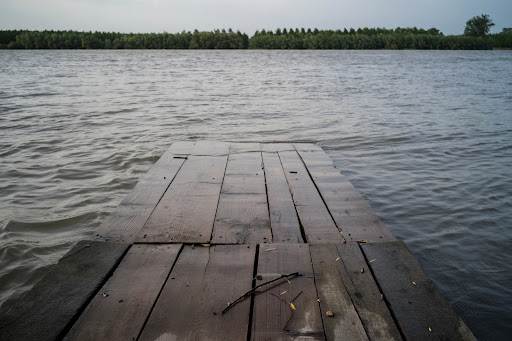 An old wooden dock on a lake in Louisiana