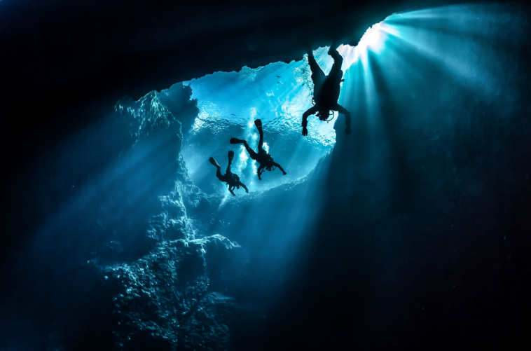 Divers going to the top of the ocean for air