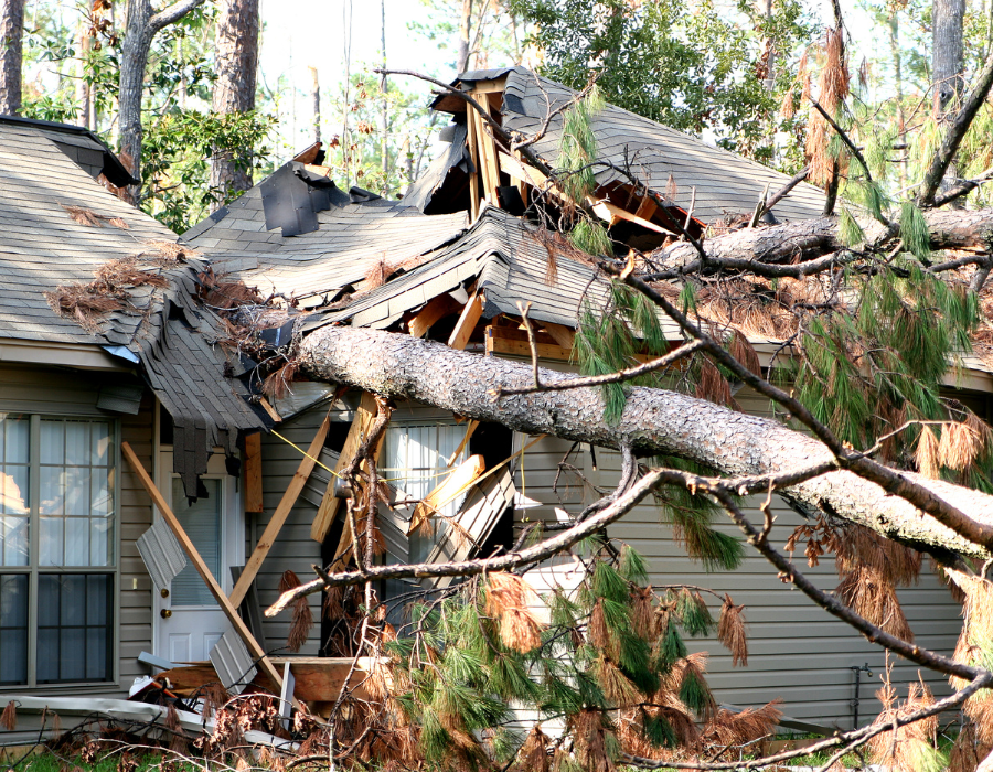 tree fallen on house from hurricane