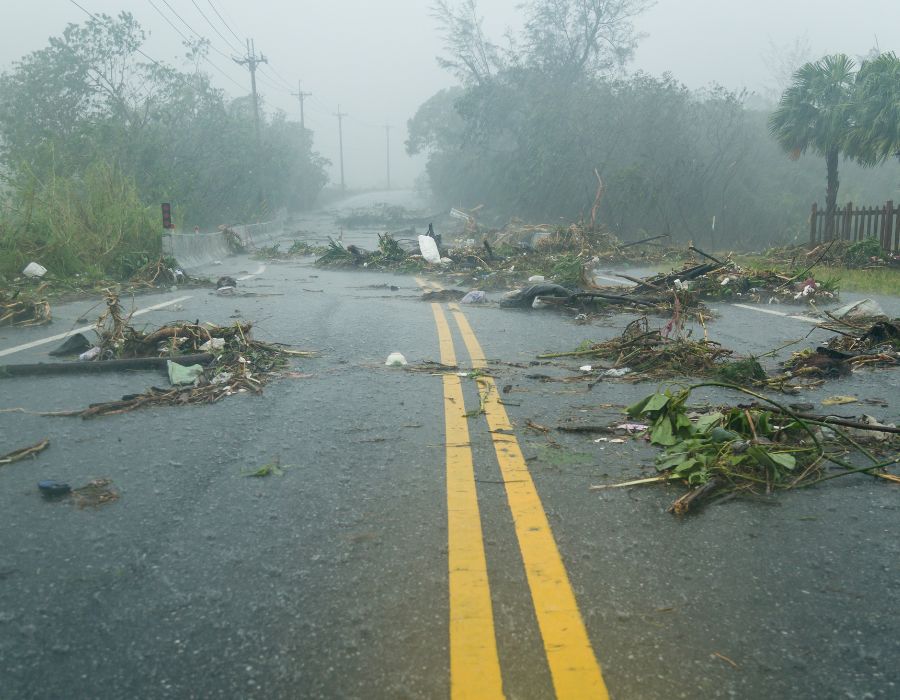 tree limbs down in road from hurricane winds