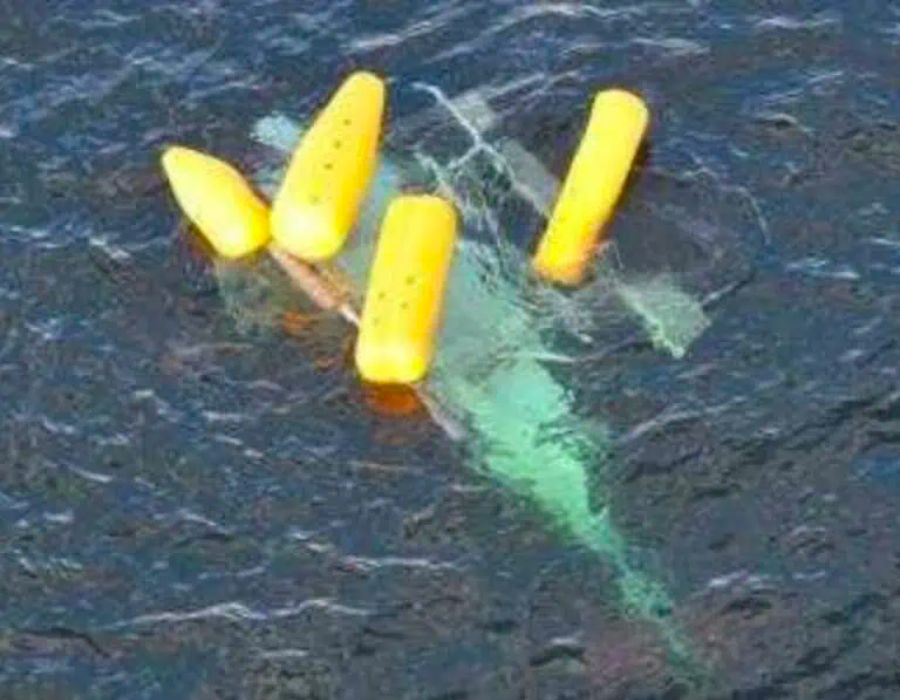 helicopter crash in the gulf of mexico