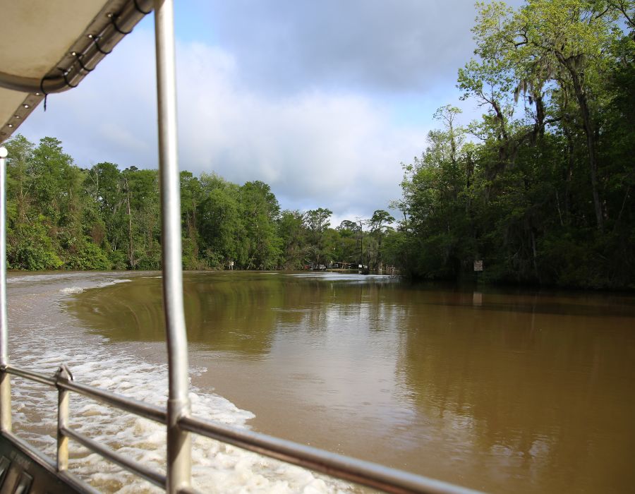 passenger boat overlooking the swamp