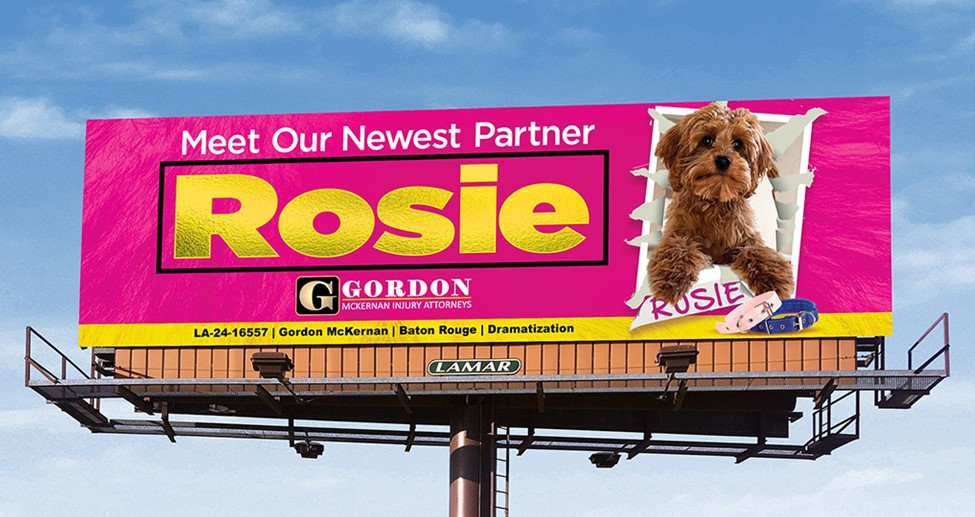 Rosie Reveal Blog Image