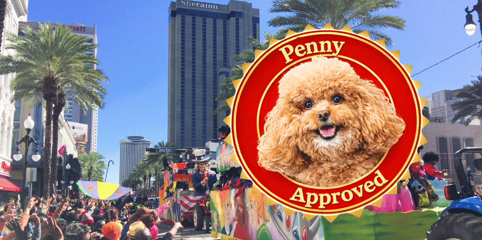 Penny the Poodle sticker over the Mardi Gras parade in New Orleans