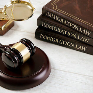 immigration lawyer Louisiana books, gavel, and scale