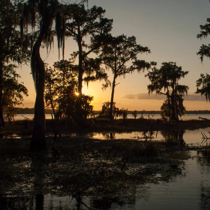 Opelousas-senery Opelousas scenery