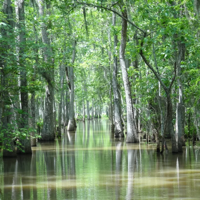 Zachary scenery