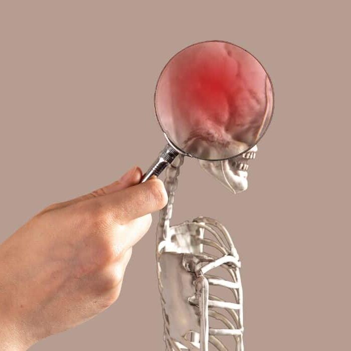 magnifying glass looking into skeleton brain