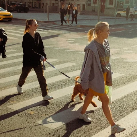 pedestrian-accident-attorney-in-baton-rouge pedestrian-accident-attorney-in-baton-rouge